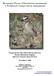 Mountain Plover (Charadrius montanus): A Technical Conservation Assessment