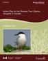 Tri-departmental Template. Action Plan for the Roseate Tern (Sterna dougallii) in Canada. Roseate Tern. Action Plan