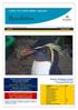 Northern Rockhopper Penguin In Care to be released after moult Photograph Christine Taylor. Issue 49 January 2019