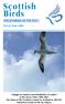 Scottish Birds. The journal of The SoC. Vol 26 june 2006
