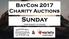 BayCon 2017 Charity Auctions