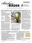 State s birders post 1 million ebird sightings in 16