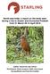 North-east India: a report on the birds seen during a trip to Assam and Arunachal Pradesh from 31 March till 15 April 2018