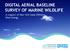DIGITAL AERIAL BASELINE SURVEY OF MARINE WILDLIFE. In Support of New York State Offshore Wind Energy