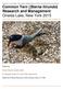Report to the New York State Department of Environmental Conservation Common Tern (Sterna hirundo) Research and Management Oneida Lake, New York 2015