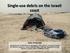 Single-use debris on the Israeli coast Galia Pasternak
