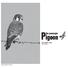 Pigeon December 2011 Vol. 47, No. 9
