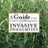 AGuide to the. Control and Management. INVASIVE phragmites
