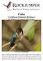 Cuba Caribbean Endemic Birding I 26 th January to 4 th February 2020 (10 days)