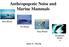 Anthropogenic Noise and Marine Mammals