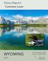 Status Report: Common Loon WYOMING. A Series Publication of BRI s Center for Waterbird Studies