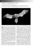 Systematic List114Shetland Bird Report Shetland Bird Report 2011