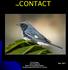 THE. Nov Cover Image: Norm Rheaume Black Throated Blue Warbler 1st place Advanced PR NC 91.7 points