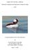Aquatic Park, Berkeley, California: Waterbird Population and Disturbance Response Study