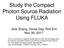 Study the Compact Photon Source Radiation Using FLUKA