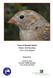 Town of Kiawah Island Winter Bird Banding Report. Prepared by: Aaron M. Given Assistant Wildlife Biologist Town of Kiawah Island