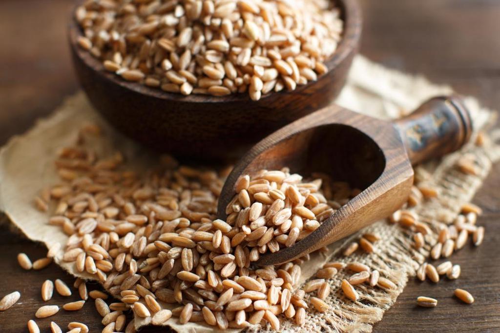 Functional Wheat Proteins Market Progresses for Huge Profits During 2017 2025 The global demand for functional wheat proteins market is high and is projected to grow at a rapid growth rate due to
