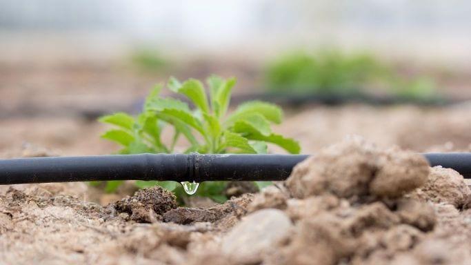Drip Irrigation System Market Will Reflect Significant Growth Prospects During 2016 2024 Over the last couple of decades, irrigation facilities have seen a number technological advancements for the