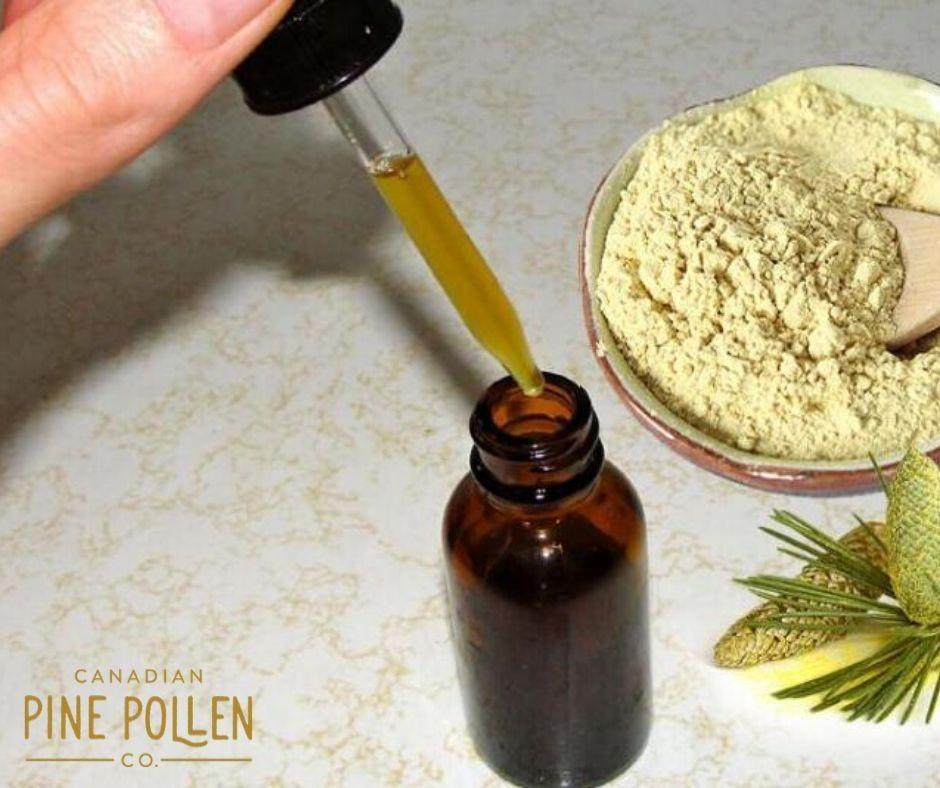 Pine Pollens Aiding in Hormone Balance When one of the ancient medical and natural ingredients venerates as a curable herb it is important to dive in to consider the significance and prominence it