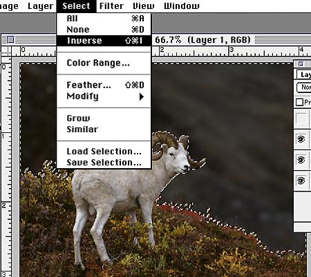 Image Selection And Layer Mask Continued c.