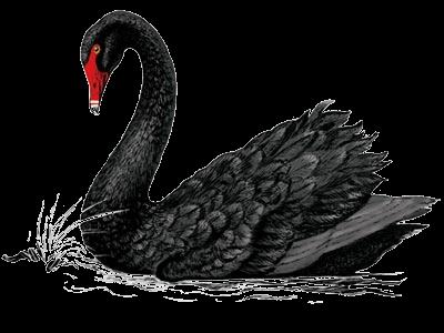 The Black Swan Event Black Swans are large-impact, rare events that are (by