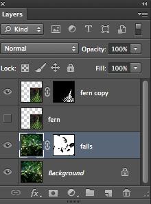 DIGITAL IMAGING I UNIT 4 5 08. To select the fern with the Magic Wand, deselect Contiguous in the Option Bar, Tolerance (default) 32.