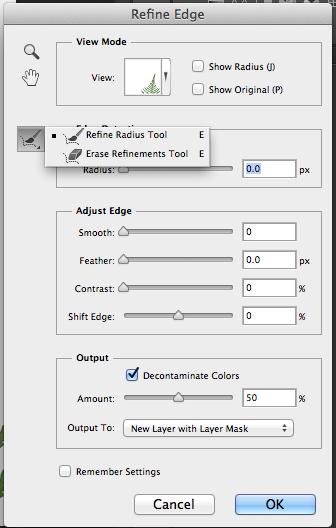 When reasonably satisfied, select Output To: New Layer with Layer Mask. Click OK. 12. If more refinement of this edge is needed, rather than use the refine Selection edge, use the refine Mask edge.