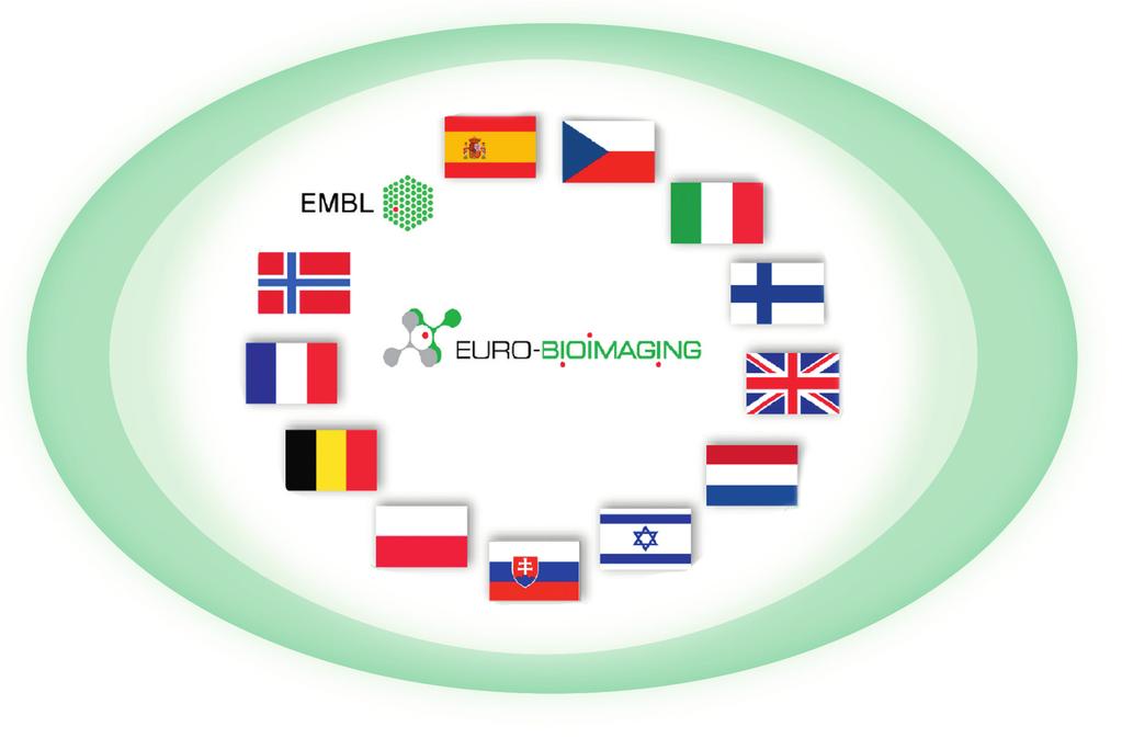 64 I Roadmap to Implementation The Euro-BioImaging Interim Board comprises 12 Members, with Delegates from 12 European countries and EMBL: Belgium / Czech Republic / EMBL/ Finland /
