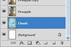 4 With the Clouds layer still active, choose Filter > Render > Clouds. Now, realistic-looking clouds appear behind the image. 5 Choose File > Save.