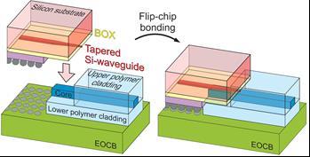 Adiabatic optical coupling using polymer waveguides Principle: Contact between the silicon waveguide taper and the polymer waveguide (PWG), achieved by flip-chip bonding, enables adiabatic optical