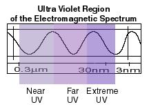 Ultraviolet waves Higher energy than light waves Can cause skin cancer and blindness in humans