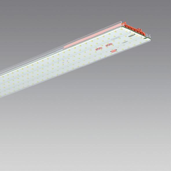 BATTEN LUMINAIRE PURELITE END MODULE Master, with control gear, 1 pc required per line of light, mount at the end of the section, for application following a start/intermediate module (Slave) or an