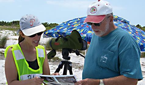 FSA guide Bird stewarding and outreach Summer weekends and holidays can be disastrous for nesting shorebirds and seabirds since the level of disturbance from people, pets, and vehicles is often
