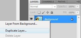 Right-click on the background layer and choose Duplicate.
