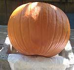 SundaySchoolKids: decorate-and-carving-a-pumpkin-instructions page 4 2.