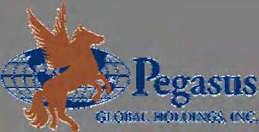 www.pegasus-global.