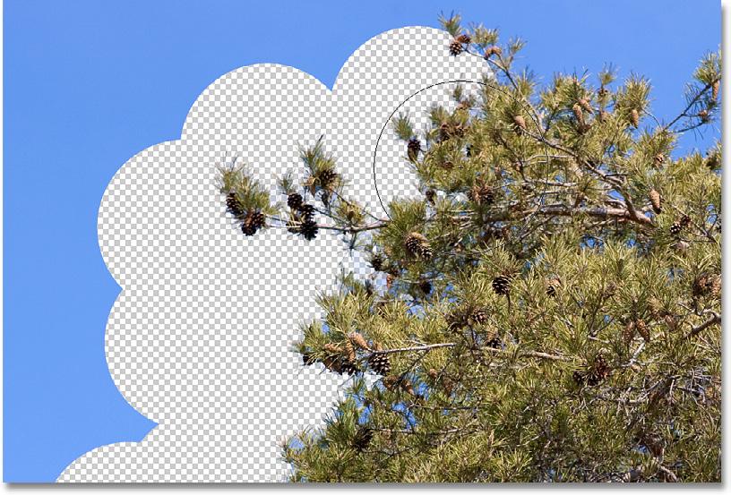That s why, when I accidentally moved the target symbol over the green column or the green tree, Photoshop started erasing green pixels in the image even though I was initially erasing blue pixels.