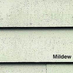 Mildew Mildew is a fungus feeding and growing on the paint film or caulk and is identifiable by its gray, brown, green or dark black splotchy spots.