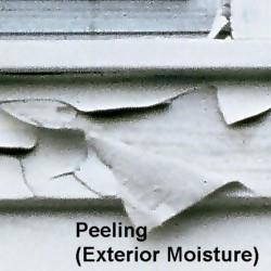 Moisture Peeling due to moisture is recognizable by large peeling sections of paint exposing bare wood underneath.