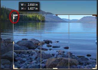 To flip a Canvas, navigate to the Image menu, choose Image Rotation and then choose either Flip Horizontal or Flip Vertical. Crop Tool (C) The Crop tool is used to remove an unwanted part of an image.