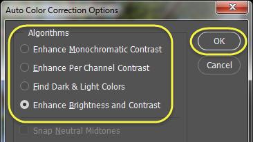 On the new adjustment layer, there is an Auto button, which will apply an auto color to the image, based on an algorithm that Photoshop uses in the background.