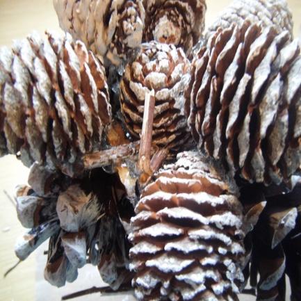 Add another pine cone in the centre hole and add some glue to the surrounding pine cones so that they stick to this