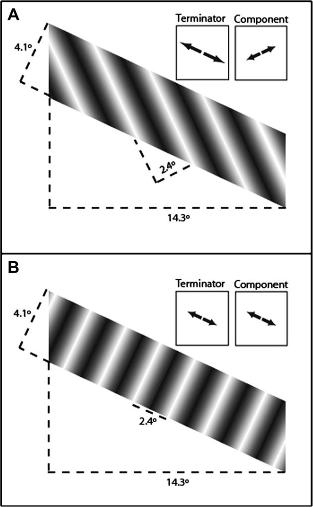 2404 G.P. Caplovitz et al. / Vision Research 48 (2008) 2403 2414 significance of boundaries in determining the figure ground relationship of motion signals.