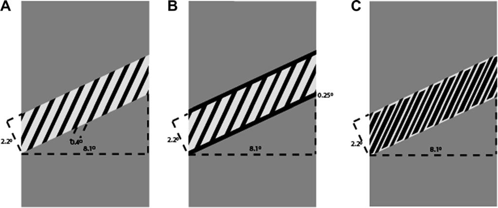 2410 G.P. Caplovitz et al. / Vision Research 48 (2008) 2403 2414 6.1.2. Procedure Observers were presented with one of three possible stimulus configurations as shown in Fig. 6. Each display consisted of two vertically oriented gray occluders (8.
