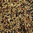 Wild Bird Seed & Suet GOLDFINCH Nyjer (Thistle) Seed, Fine