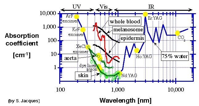 Choose light source wavelength Choose light source wavelength Light propagation (Monte Carlo simulation)