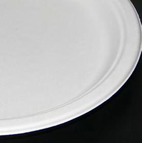 Bagasse Blend Tableware Social responsibility, respect and care for the environment require action today while keeping an eye to the future.