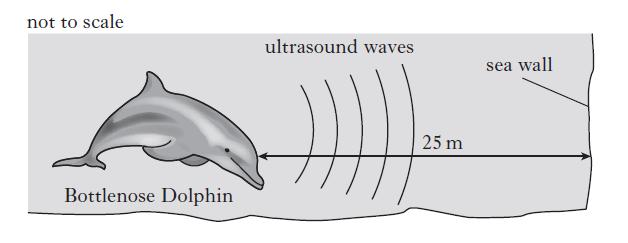 3. Bottlenose dolphins produce sounds in the frequency range 200 Hz 150 khz. Echolocation is the location of objects by using reflected sound. Bottlenose dolphins use ultrasounds for echolocation.
