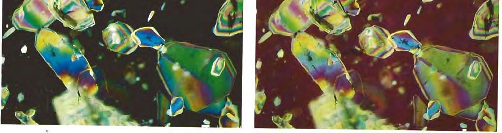 Bottom right-use of the first-order red compensator reduced the exposure time in polarized light for the image shown at left to 8 seconds. Magnified 20 x.