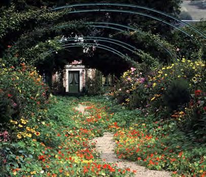 Far left: Dennis Stock; The gardens of Claude Monet, 1978;